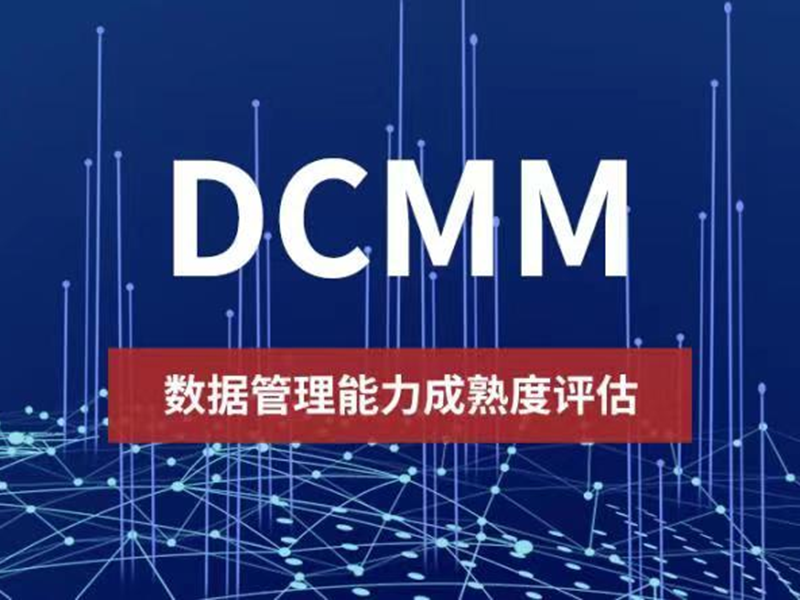 DCMM-數(shù)據(jù)管理模型